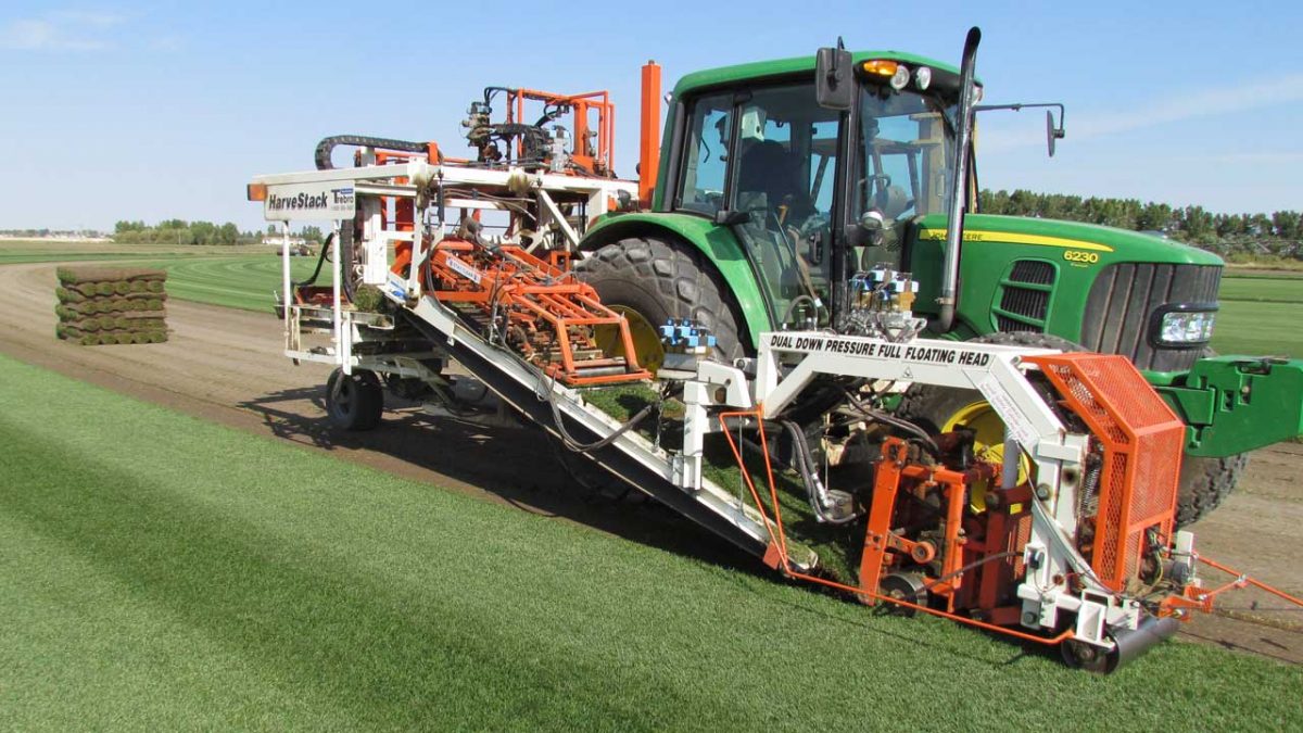Silver Lake Sod Farm Elite Sod Growers Serving Southern Alberta