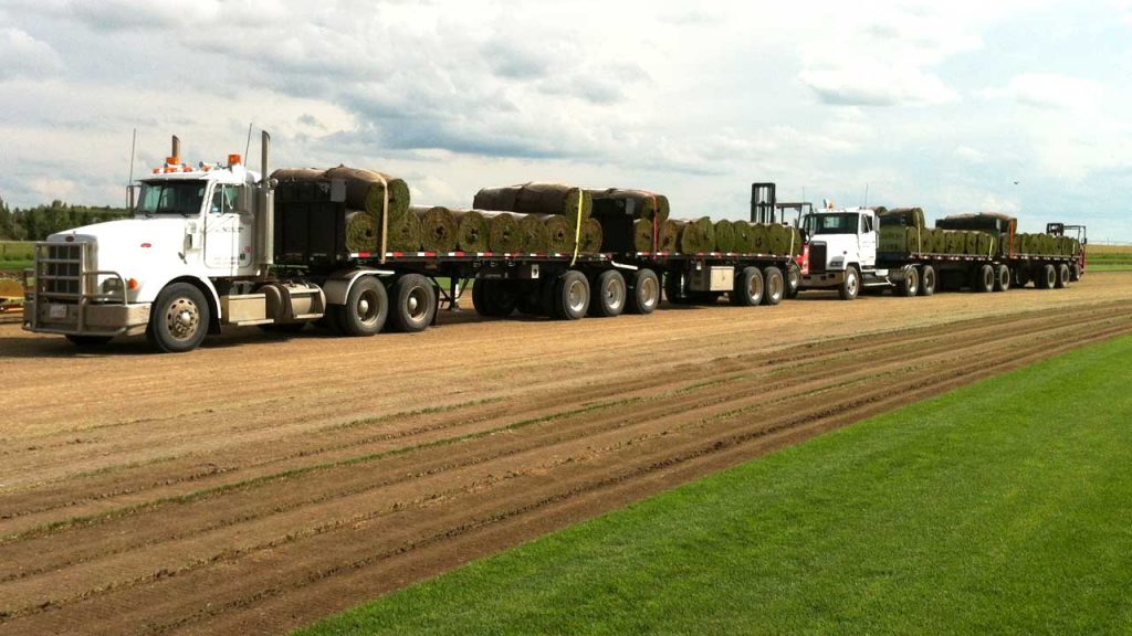 Silver Lake Sod Farm Elite Sod Growers Serving Southern Alberta